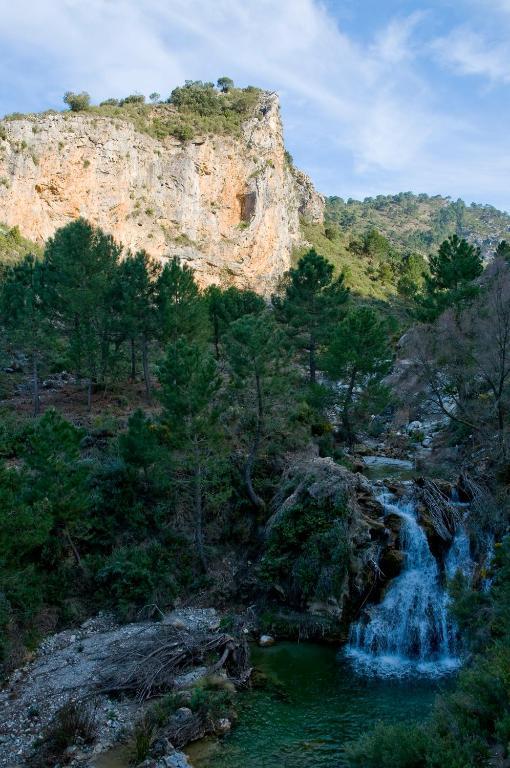 Arenas del Rey Complejo Rural El Molinillo 빌라 외부 사진
